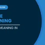 UDISE Meaning in Hindi | UDISE का अर्थ हिंदी में – एक संपूर्ण गाइड