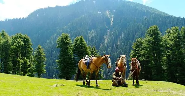 How to Reach Baisaran Valley From Pahalgam