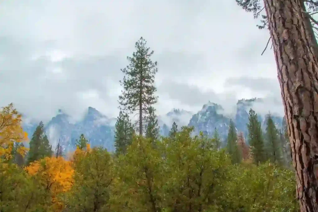 Top Things to Do in Baisaran Valley