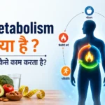 मेटाबॉलिज्म (चयापचय) क्या है ? यह कैसे काम करता है