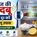 फ्रिज की बदबू कैसे दूर करें घरेलू उपाय – पूरी जानकारी हिंदी में